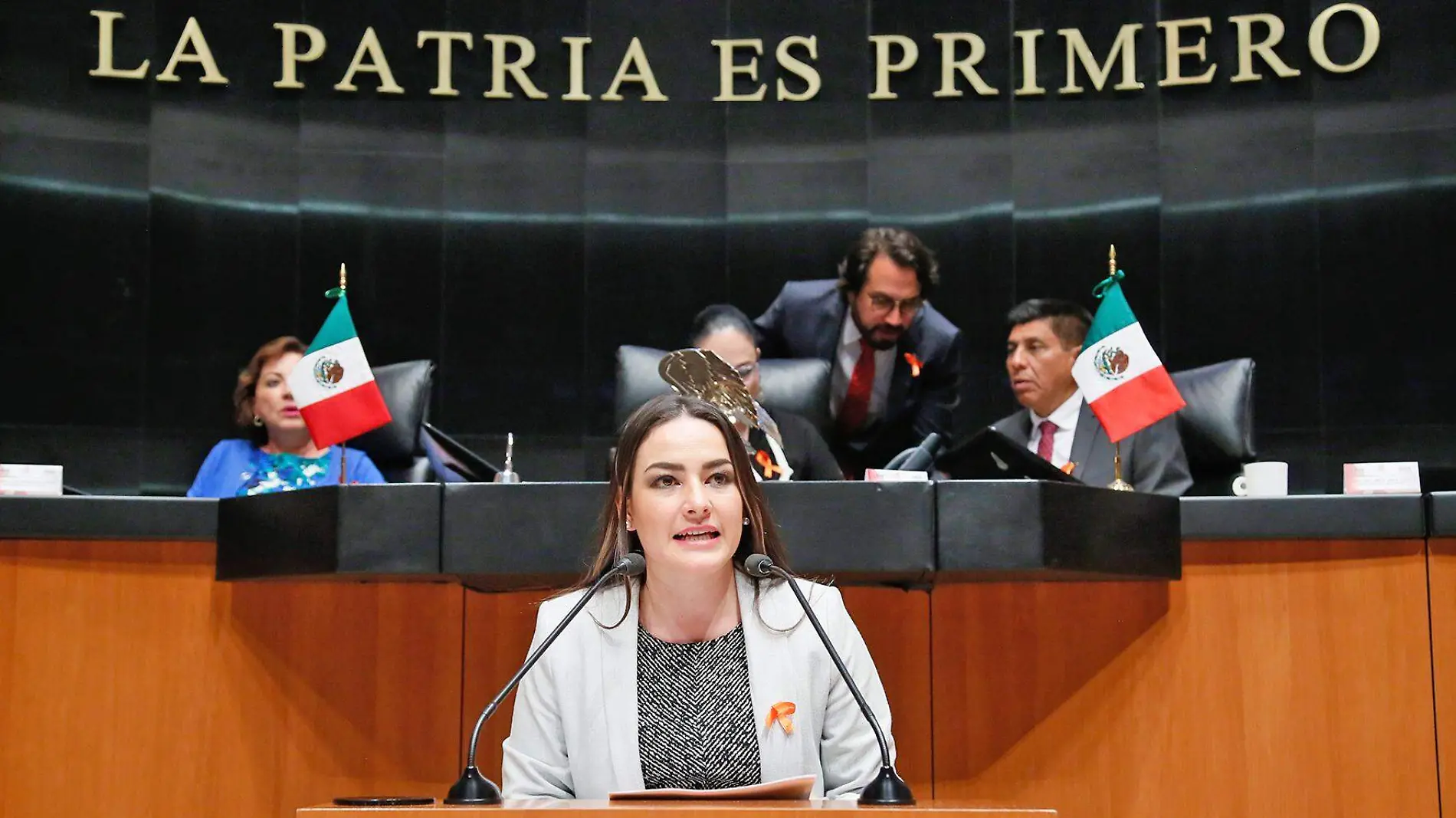 Martha Márquez senadora por Ags